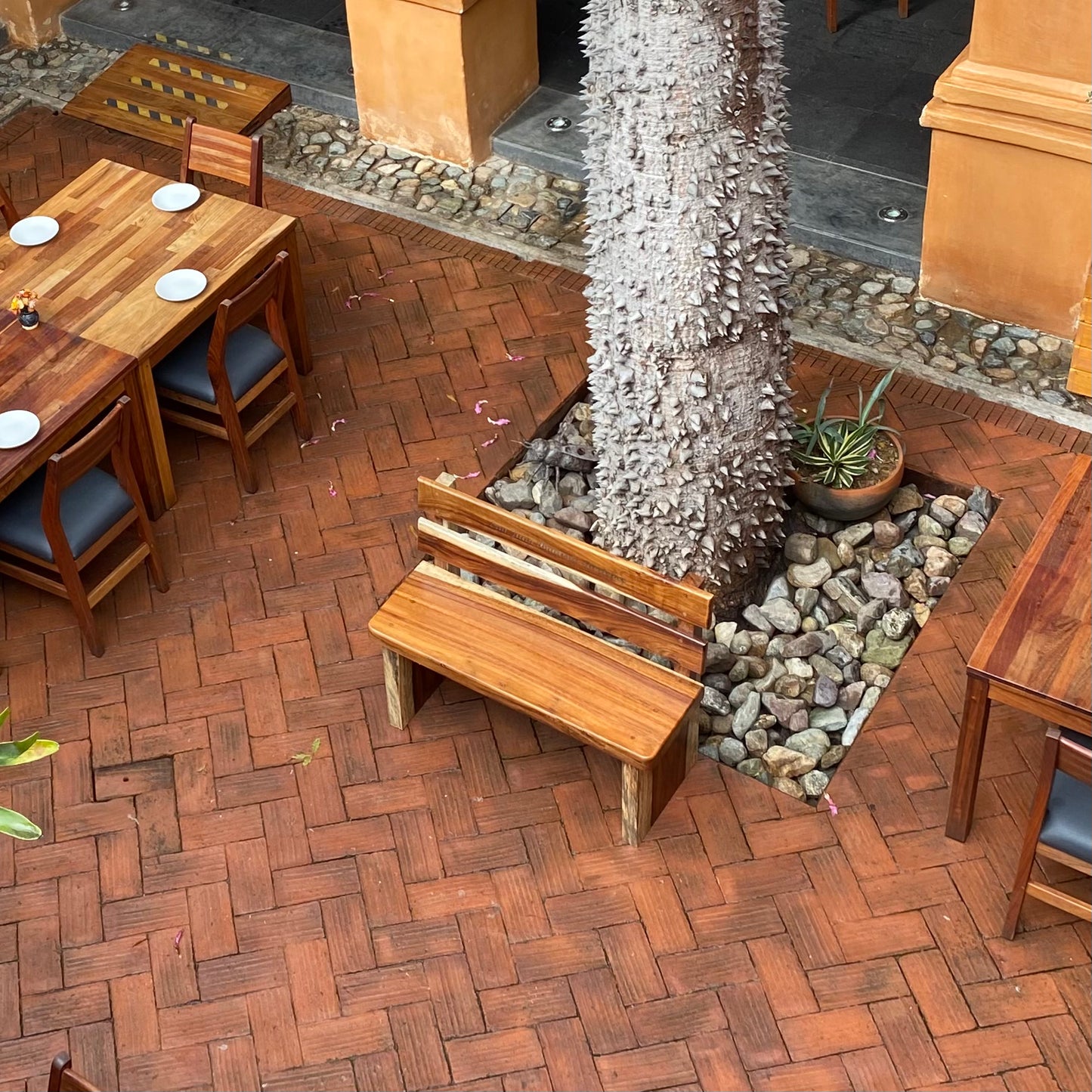 Línea Tiempo - Banca de Parota, elegancia que permanece